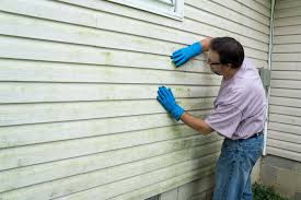 Best Siding Maintenance  in Sissonville, WV